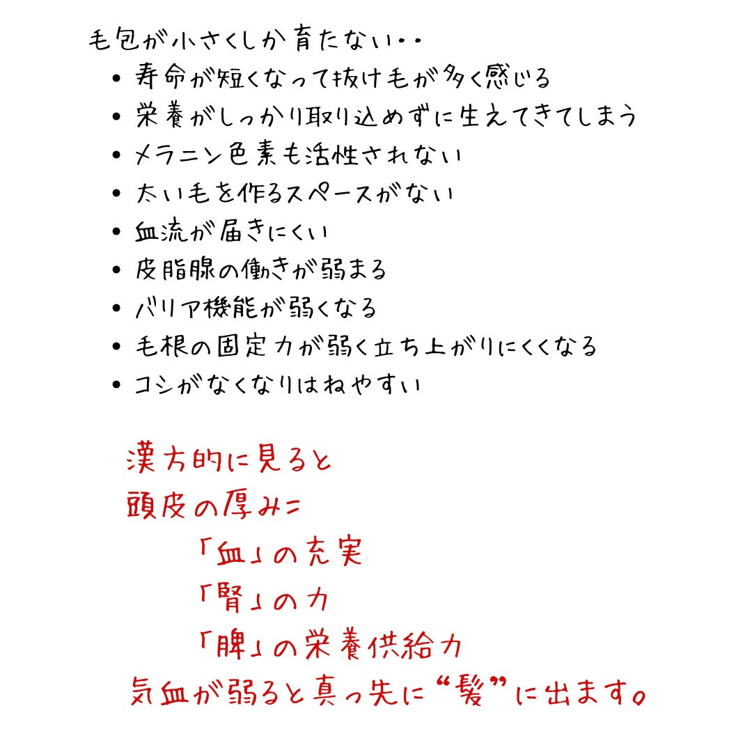 【毛量の違いは“頭皮の厚み”で決まります】