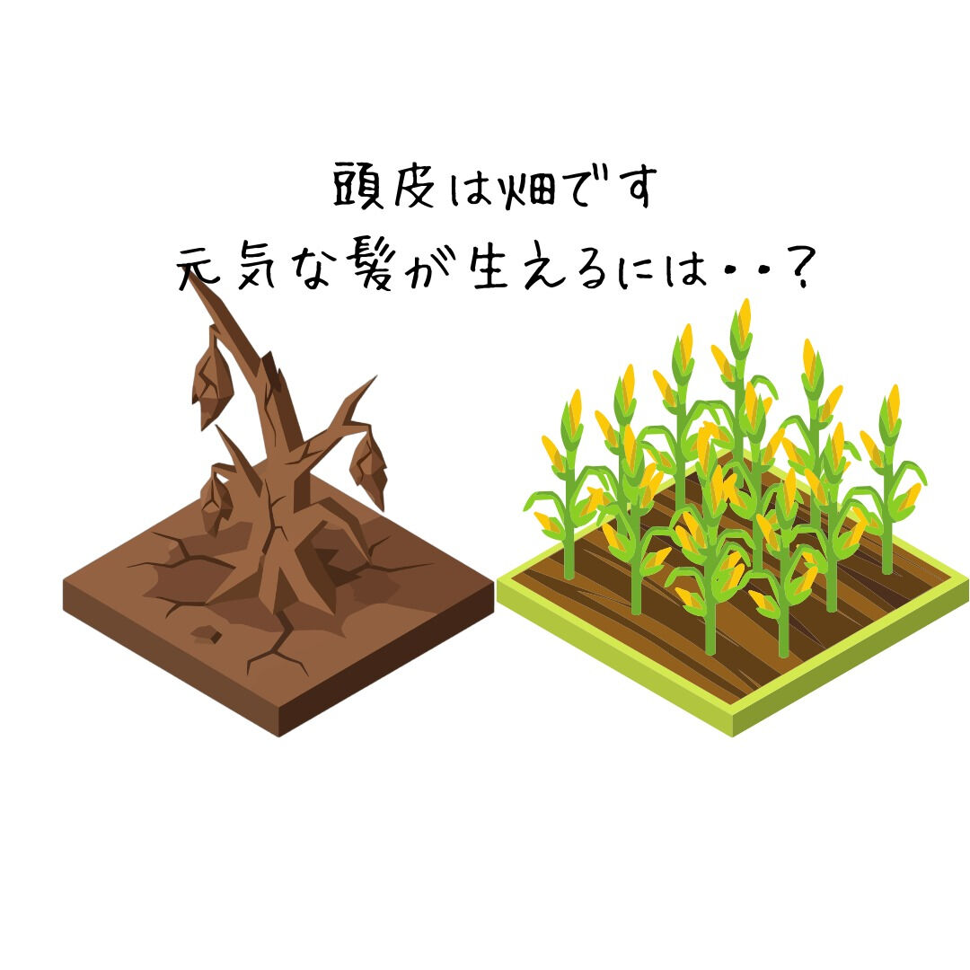 【元気な髪が生えるには…？】