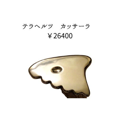【元気な髪が生えるには…？】