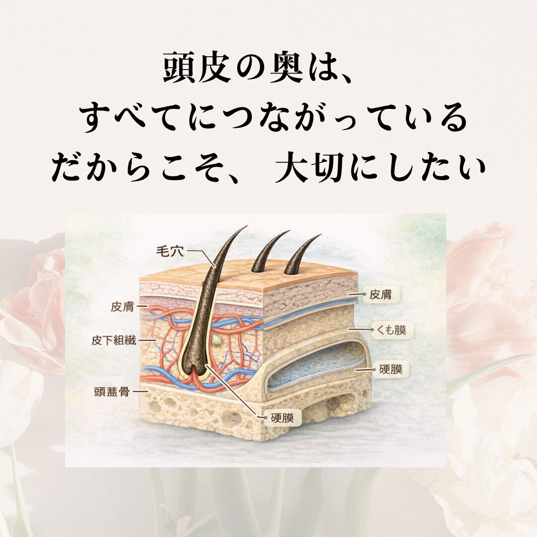 【頭皮の奥は、すべてにつながっている🌿】