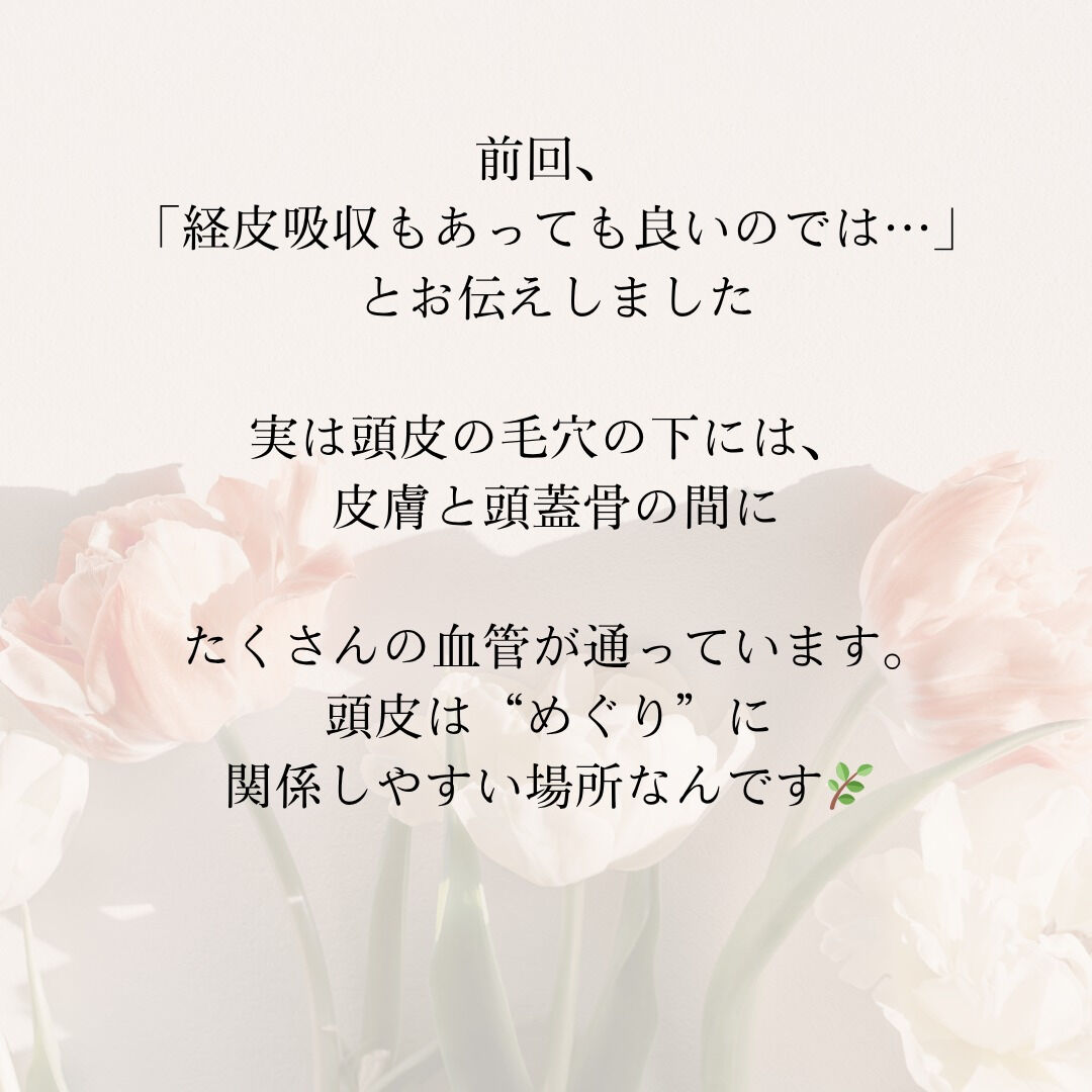 【頭皮の奥は、すべてにつながっている🌿】
