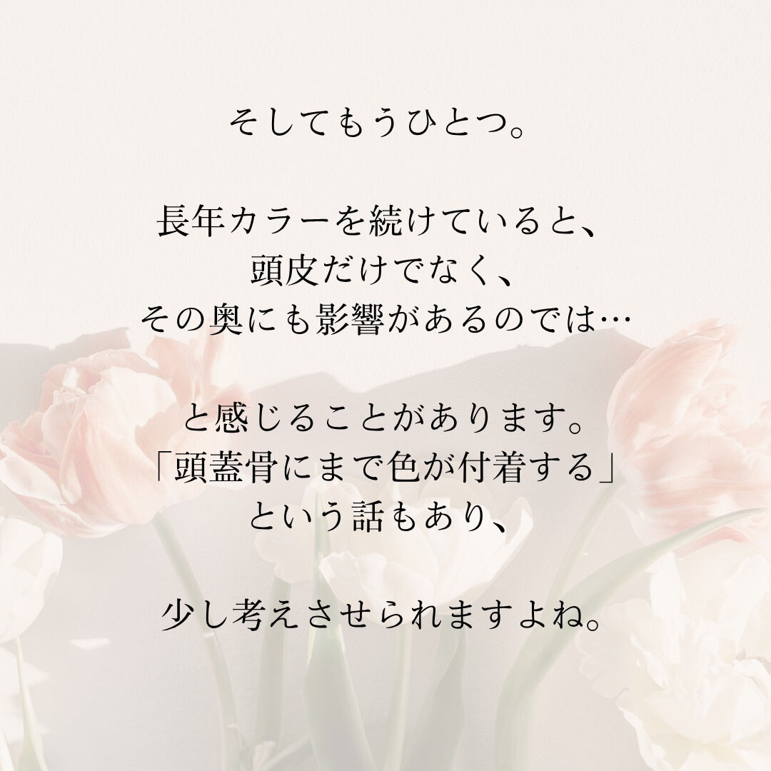 【頭皮の奥は、すべてにつながっている🌿】
