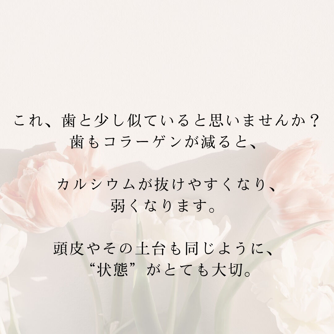 【頭皮の奥は、すべてにつながっている🌿】