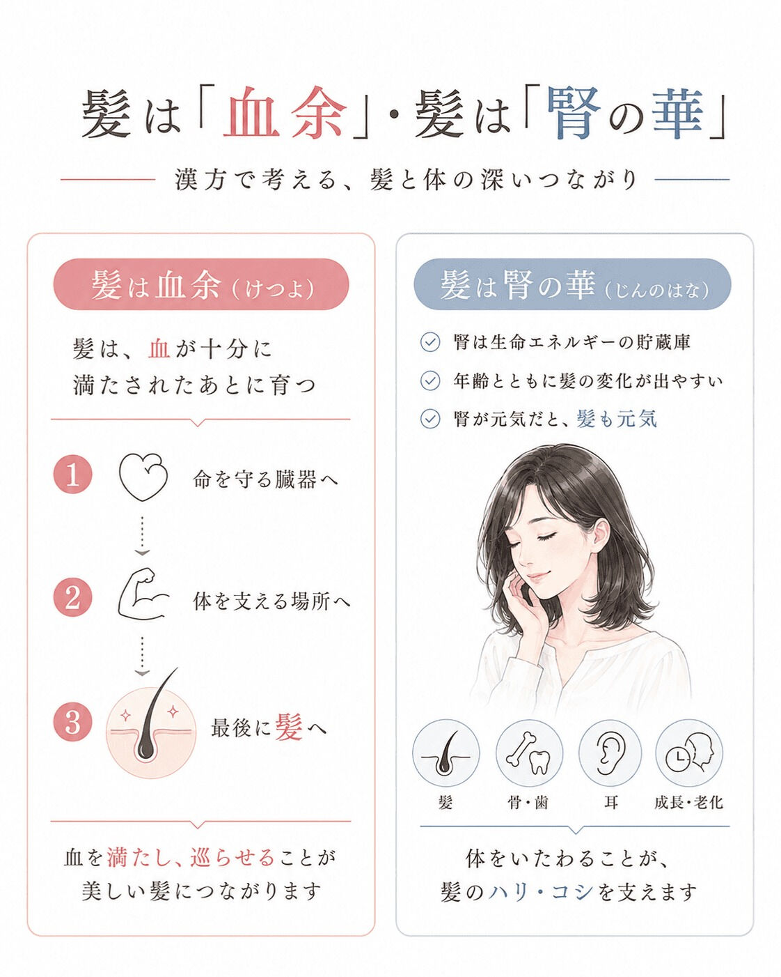 【漢方では、髪をどう考えるの？】
