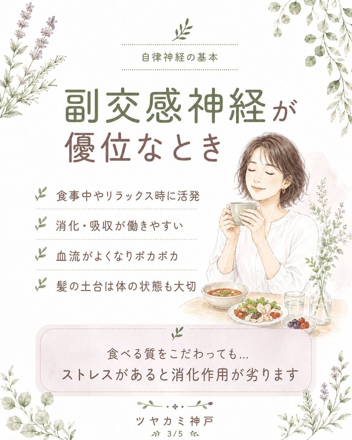 【自律神経と髪のつながり🌿】